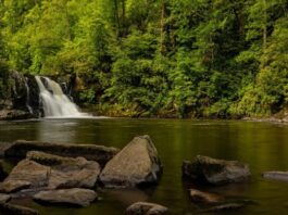 Smoky-Mountains-for-the-Soul